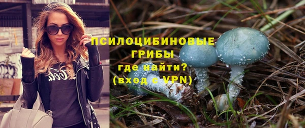 шишки Кулебаки