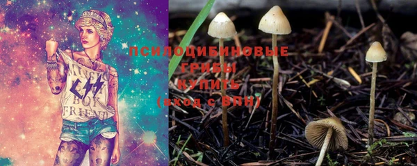 мдма Ладушкин