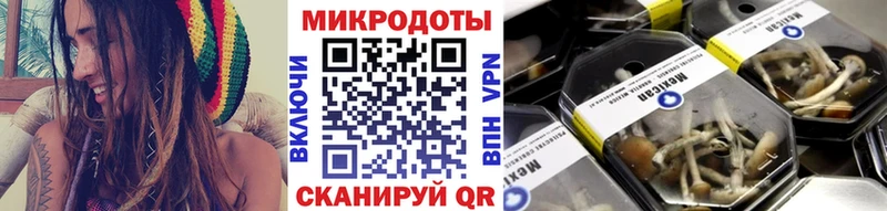 Купить закладки  Коломна  Галлюциногенные грибы MAGIC MUSHROOMS 